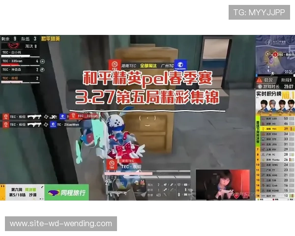 和平精英PEL直播赛精彩回顾 玩家技巧与战术分析一网打尽