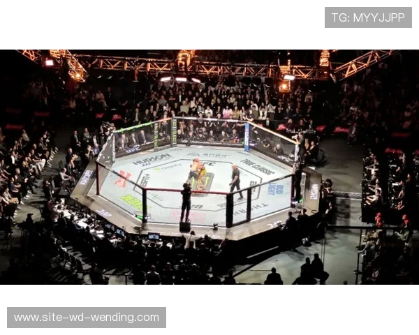 巅峰对决再掀热血风暴UFC格斗之夜全程精彩回顾