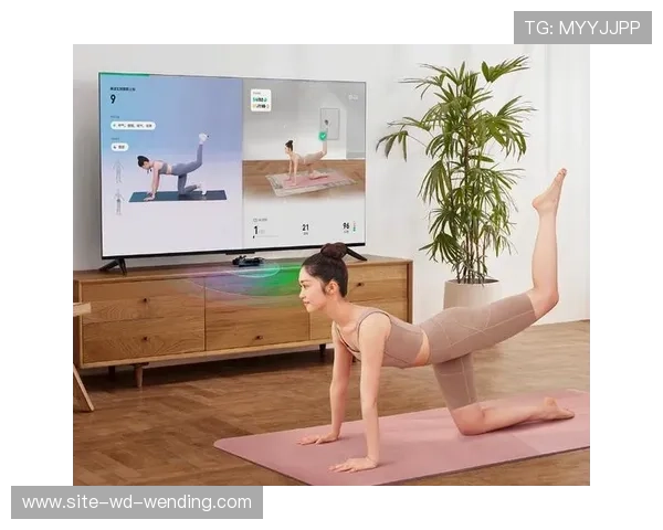 体感运动游戏体验与用户行为分析研究与应用探索